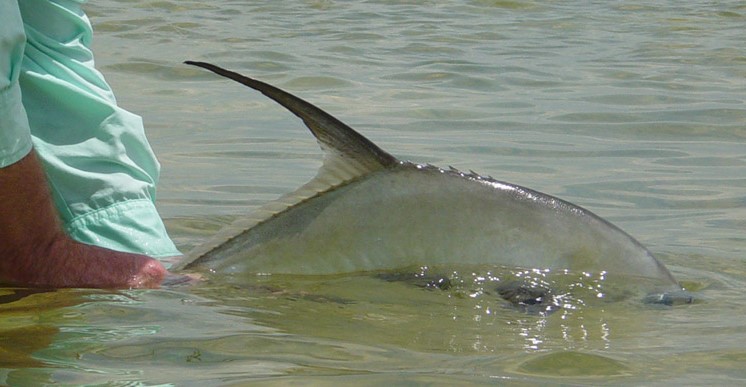 Isla Blanca Fly Fishing Pictures